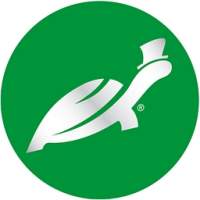 Turtle Wax UK logo