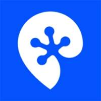Proxy-cheap logo
