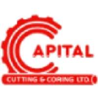 Pippit AI - Powered by CapCut Affiliate Program logo