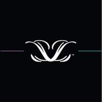 LiLash Beauty logo